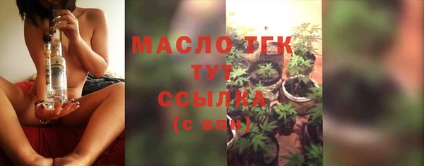 гидропоника Горняк