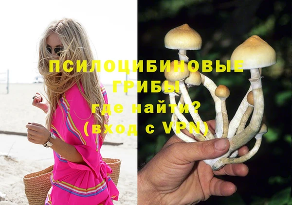 гидропоника Горняк