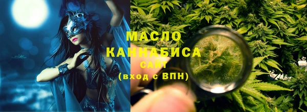 гидропоника Горняк