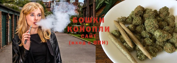 гидропоника Горняк