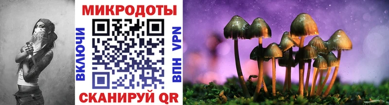 Псилоцибиновые грибы Magic Shrooms  кракен маркетплейс  Меленки 